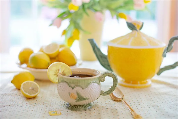 How to Repot Plumeria: Avoid Common Mistakes &amp; Choose the Right Pot Size